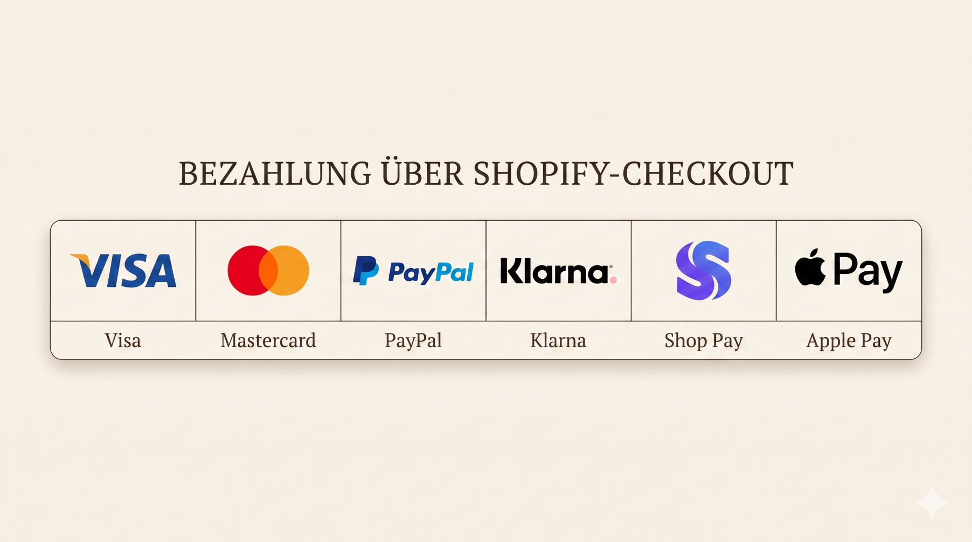 Bezahlung über Shopify-Checkout — Visa, Mastercard, PayPal, Klarna, Shop Pay, Apple Pay